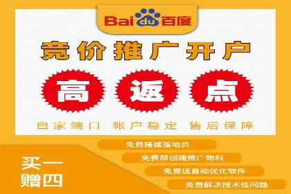 竞价广告案例分析：行业竞争激烈下的突围之路